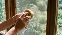 10分で蚊帳が新品のようにきれいになる：手元にあるもので簡単に素早く掃除する方法