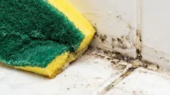  この乳飲料は、カビのシミを瞬時に落とします。