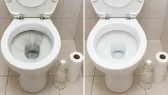 トイレットペーパーの芯と酢：トイレの便器に付着した水垢を簡単に落とし、元の状態に戻す方法。